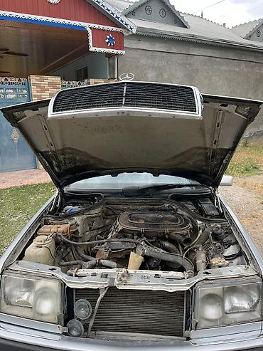 Mercedes-Benz: Mercedes-Benz W124: 2 l | 1991 il Sedan — 21