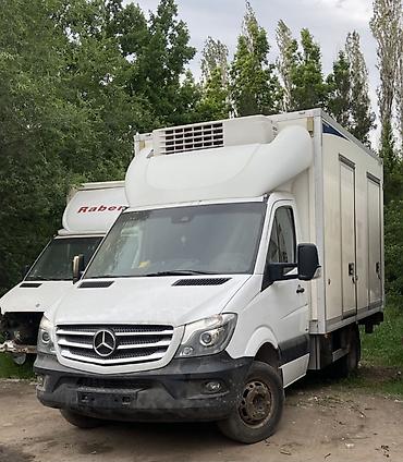 марлен: Легкий грузовик, Mercedes-Benz, Стандарт, 3 т, Новый — 2