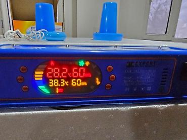 İnkubatorlar: 100 yumurta, Çin, Fabrik istehsalı, Tam avtomat, Bütün növ quşlaq üçün — 29
