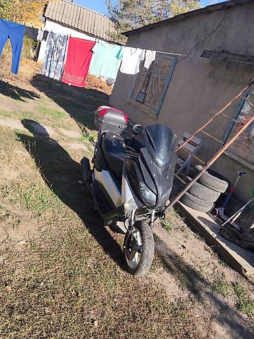 скутеры honda 49 куб: Продаю скутар хорошом сос из вложения нада карбиратор атак матор — 1