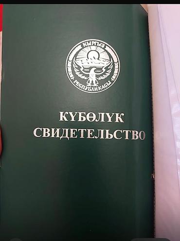 260 соток — 1