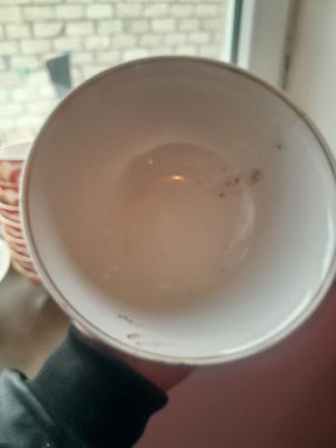 Kasalar: Kasalar, rəng - Ağ, Farfor — 16