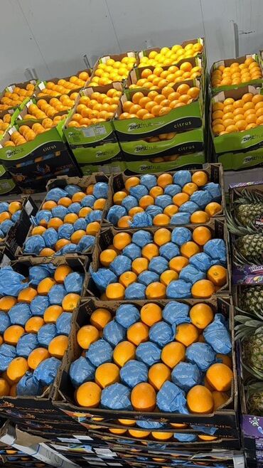 тележка для мороженного: Апельсины Оптом