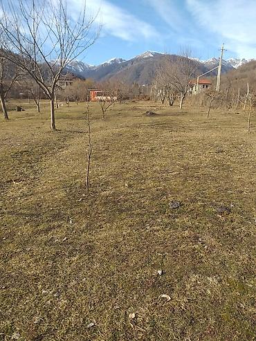 Torpaq sahələrinin satışı: Tikinti — 4