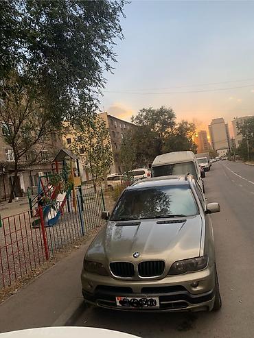 e53 е53: BMW X5: 2003 г., 4.4 л, Автомат, Бензин, Кроссовер — 3