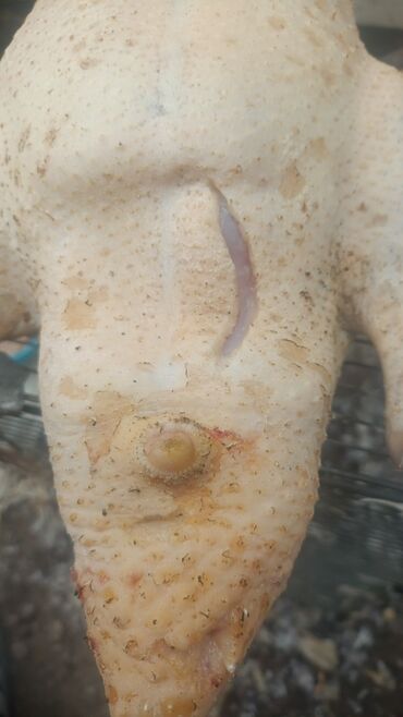 Мясо: 3 кг — 3