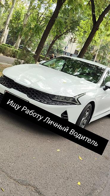 Услуги переводчика