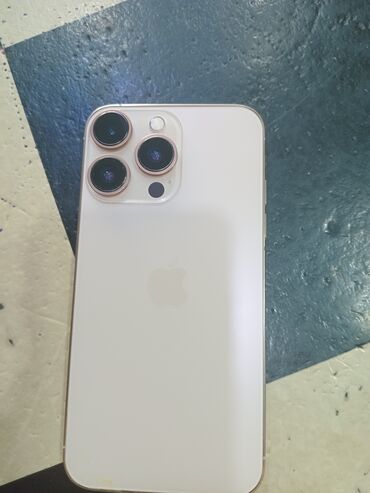Apple iPhone: IPhone 15 Pro, Ağ