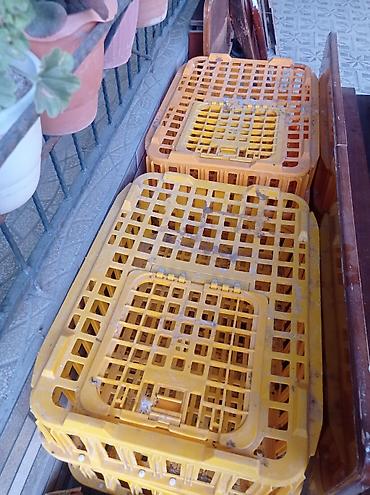 meyn kun qiymeti: Toyug daşımaq üçün setkalar satılır.6-ededi.1ededi 27 manata.bine — 2