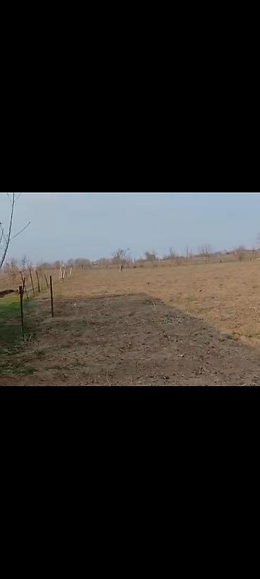 новый дом чон арык: 20 соток, Для строительства — 2