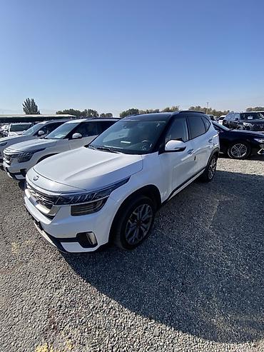 kia xceed: Kia Seltos: 2020 г., 1.6 л, Робот, Бензин, Кроссовер — 2