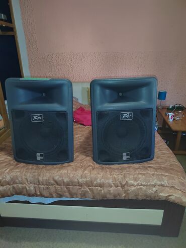 Speakers & Sound Systems: Peavey 15 unutra eminence kappa 15 a