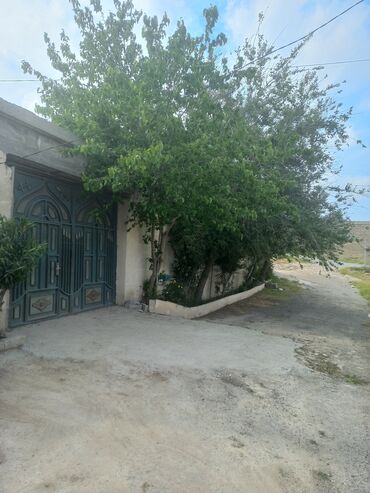 Həyət evləri və villaların satışı: 3 otaqlı, 100 kv. m, Kredit yoxdur, Orta təmir -da lalafo.az — 7 Həyət evləri və villaların satışı: 3 otaqlı, 100 kv. m, Kredit yoxdur, Orta təmir — 7