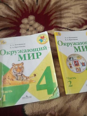 platform ok: Школьные учебники (набор) - Литературное чтение, 4 класс, часть 2 — 9