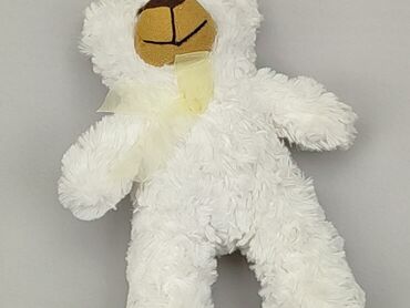 pull and bear kamizelka: Mascot Teddy bear, condition - Very good