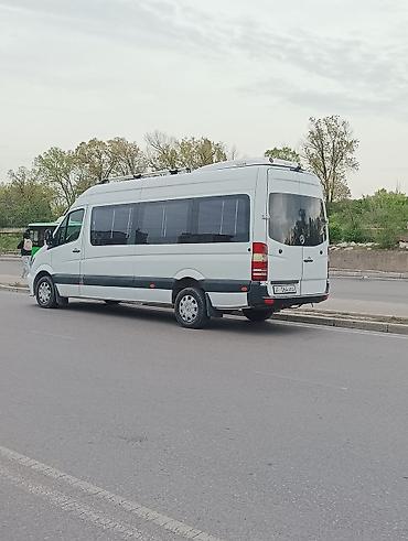 выбор номера о: Рекс на заказ принимаю заказы вип салон. буфер.кандицианер вадитель — 4