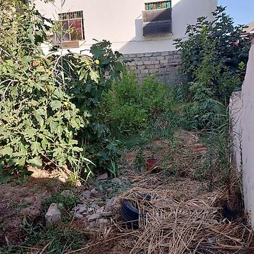 bakıda: 36 sot, Tikinti, Makler, Kupça (Çıxarış) — 6
