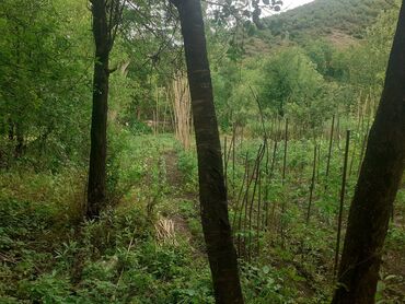 Torpaq sahələrinin satışı: 6 sot, Tikinti, Makler, Kupça (Çıxarış) — 10