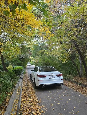 byd e9 1: Kia Optima: 2019 г., 1.6 л, Робот, Бензин, Седан — 4