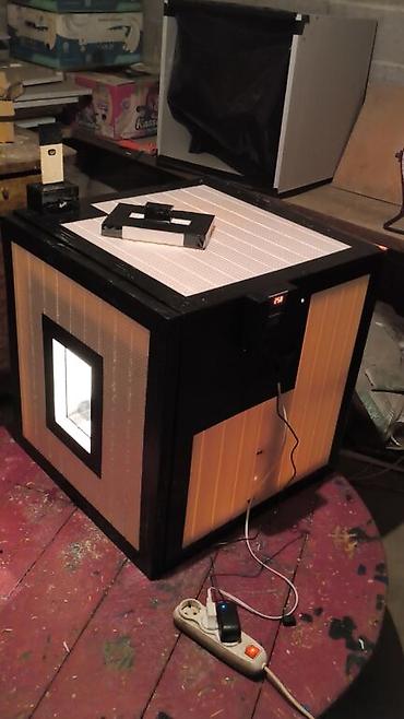 Куры, петухи: Продаю | Инкубационные яйца — 4