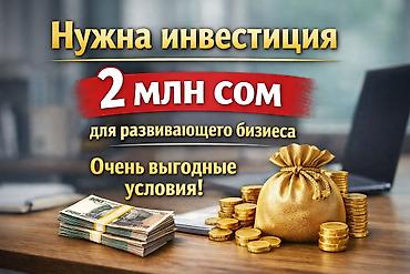 Есть работающая система, нужны оборотные средства для масштабирования