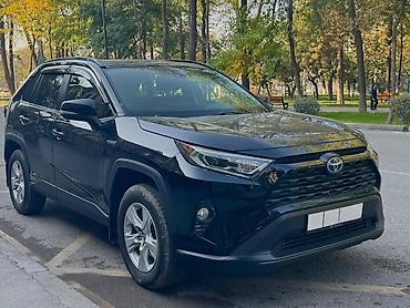 Toyota RAV4: 2019 г., 2.5 л, Автомат, Гибрид, Кроссовер