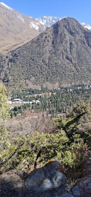 Бинокли: Бинокль с увеличением 20x и объективом 50 мм. Корпус черного цвета с — 9