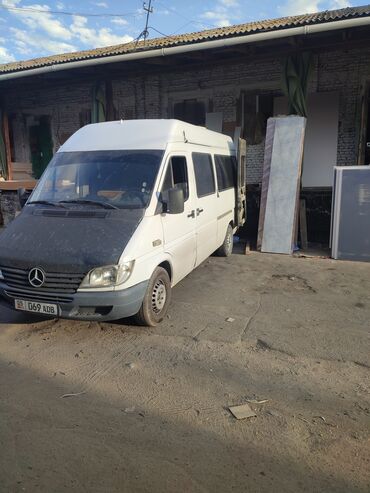 бурма кошка купить: Mercedes-Benz Спринтер: 2002 г., 2.2 л, Механика, Дизель, Бус