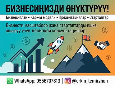 пусковой устройства: Профессиональные консультации по развитию бизнеса и запуску стартапов — 1