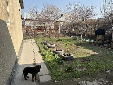 Продажа коттеджей и домов: Продается жилой дом 🏡Основные характеристики: Комнат: 5; Площадь — 2