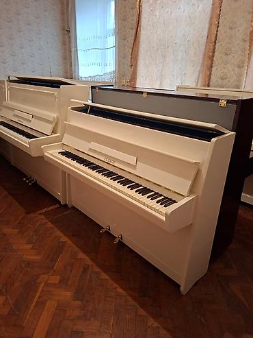 çadr: Piano, Petrof, Akustik, Yeni, Pulsuz çatdırılma — 2