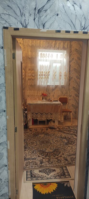 Giriş qapıları: Həyət daxili qapı və giriş komplekti - Material: metal qapı, üzərində — 8