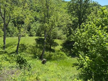 Torpaq sahələrinin satışı: 20 sot, Mülkiyyətçi, Müqavilə — 5