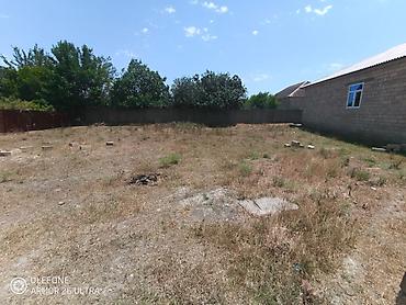 20 ci sahede satiliq ucuz evler: 5 sot, Tikinti, Mülkiyyətçi, Kupça (Çıxarış) — 4