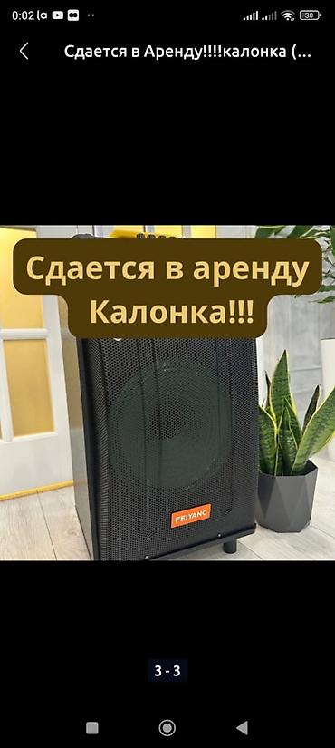 калонка на прокат: Аренда портативной акустической системы FEIYANG. - Мощная напольная — 1