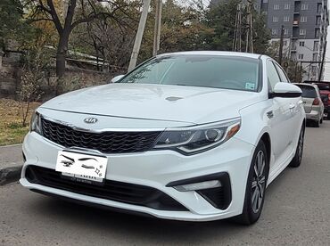 фара опель вектра с: Kia Optima: 2019 г., 2.4 л, Автомат, Бензин, Седан