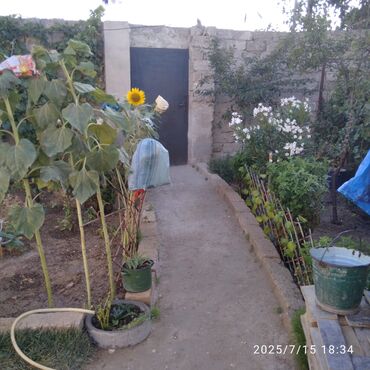 Həyət evləri və villaların satışı: Binə 3 otaqlı, 90 kv. m, Orta təmir — 2