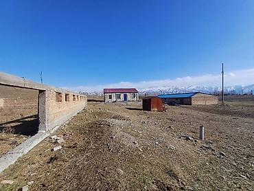кой сойушка: Срочно срочно! Очень дешево!Продаю две кошары на одной территории — 9