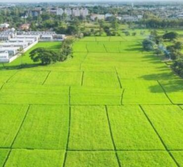 Продажа участков: 70 соток, Для бизнеса, Договор купли-продажи