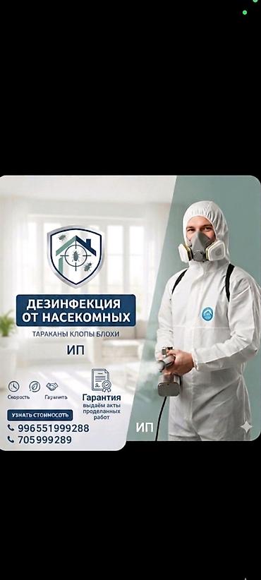 делаю уборку дома: Дезинфекция, дезинсекция, | Клопы, Блохи, Тараканы, | Транспорт, Офисы, Квартиры — 1
