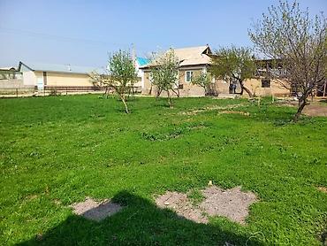 Продажа коттеджей и домов: Продаётся дом в Ноокене. Участок 6 соток, удобное расположение. - Дом — 10