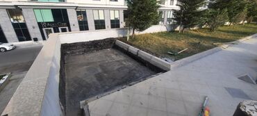 tol dam ortuyu: Tol usdası