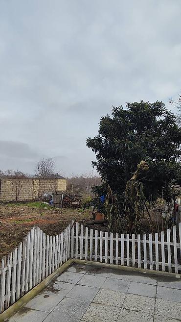 Həyət evləri və villaların satışı: 8 otaq, 172 kv. m, Orta təmir -da lalafo.az — 11 Həyət evləri və villaların satışı: 8 otaq, 172 kv. m, Orta təmir — 11