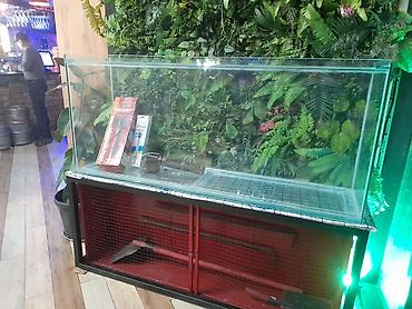 Аквариумы: Аквариумы на заказ под форель и для дома! делаю ремонт а так-же — 11