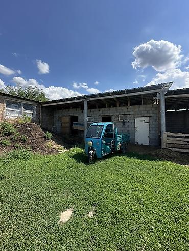 нижний токолдош: 📍 В Сокулукском районе в селе Тош- Булак продаётся усадьба у подножья — 6
