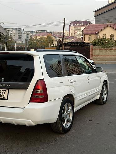 срочно срочно продам: Subaru Forester: 2003 г., 2 л, Автомат, Бензин, Универсал — 1