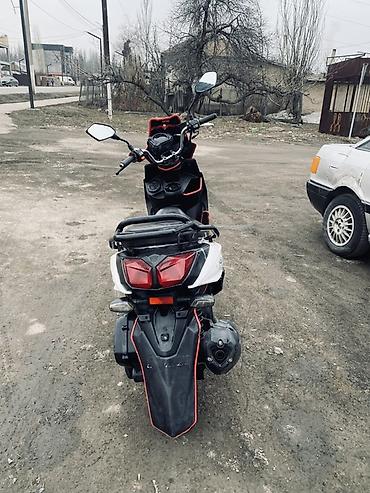 Скутеры: Тип скутера 160 куб. см, Бензин, Новый — 6