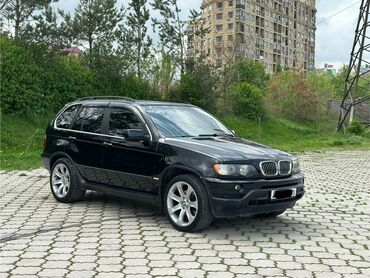 бмв х5 м: BMW X5: 2001 г., 4.4 л, Автомат, Бензин, Жол тандабас