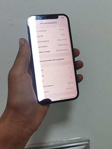 iphone cs max: IPhone 12 Pro, Новый, 256 ГБ, Синий, Чехол, 88 % — 3