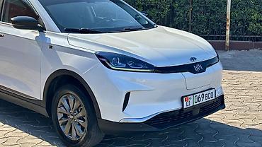 lexus 270 rx: Weltmeister EX5, 2020 г., 110000 км, Передний, В наличии — 3